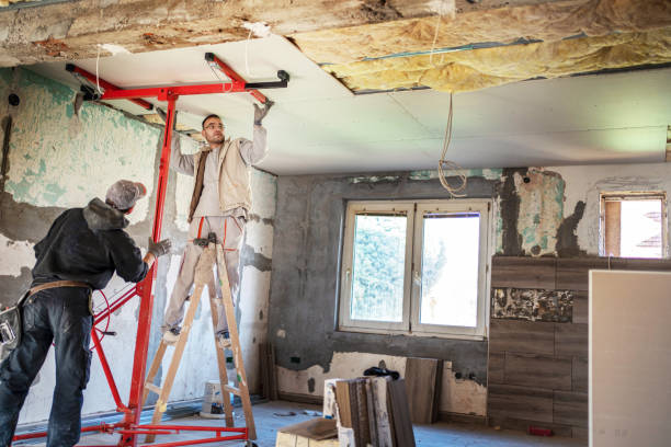 Best Insulation Removal  in Doylestown, OH