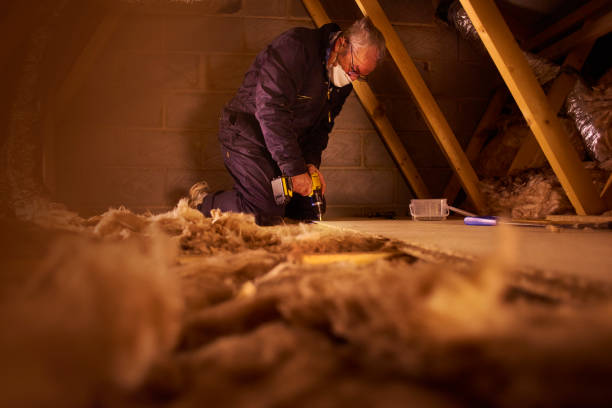Best Attic Insulation Installation  in Doylestown, OH